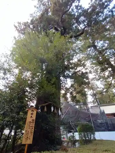 香取神宮(千葉県)