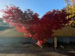 伊勢の国 四天王寺(三重県)(2022年11月25日(金) 11時51分20秒投稿)