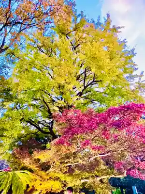 高徳院(神奈川県)