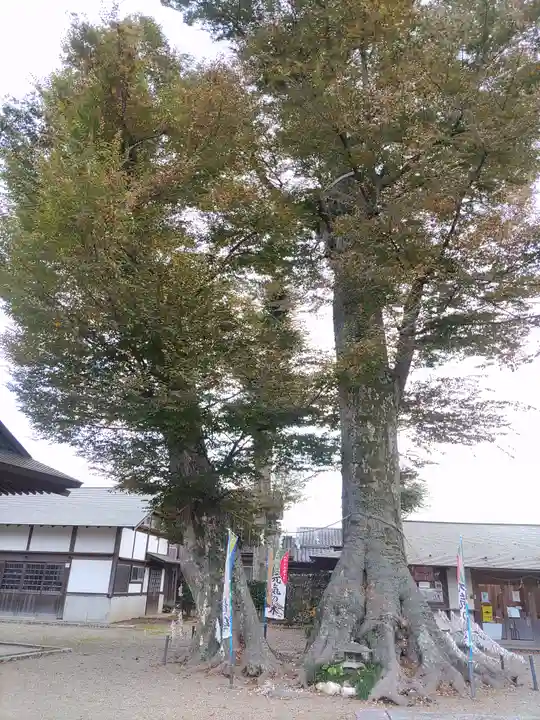 八枝神社(埼玉県)