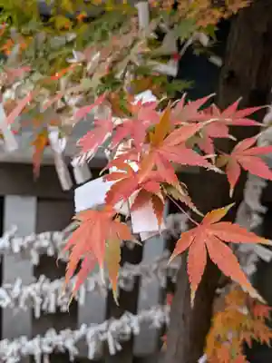 朝日神社(東京都)