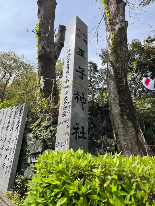 王子神社の{uncategorized: "未分類", other: "その他", undefined: "問題あり", building: "その他建物", grave: "お墓", sacred_gate: "鳥居", guardian: "狛犬", statue: "像", buddha: "仏像", history: "歴史", nature: "自然", garden: "庭園", animal: "動物", pagoda: "塔", temizu: "手水舎", mountain_gate: "山門・神門", sanctuary: "本殿・本堂", subordinate: "末社・摂社", art: "芸術", scenery: "景色", jizo: "地蔵", ema: "絵馬", goshuin: "御朱印", omikuji: "おみくじ", items: "授与品その他", amulet: "お守り", goshuincho: "御朱印帳", eats: "食事", festival: "お祭り", votive_dance: "神楽", shichigosan: "七五三参", wedding: "結婚式", experience: "体験その他", initially: "初詣", around: "周辺", anti_infection: "感染症対策"}