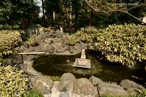 櫻木神社の庭園