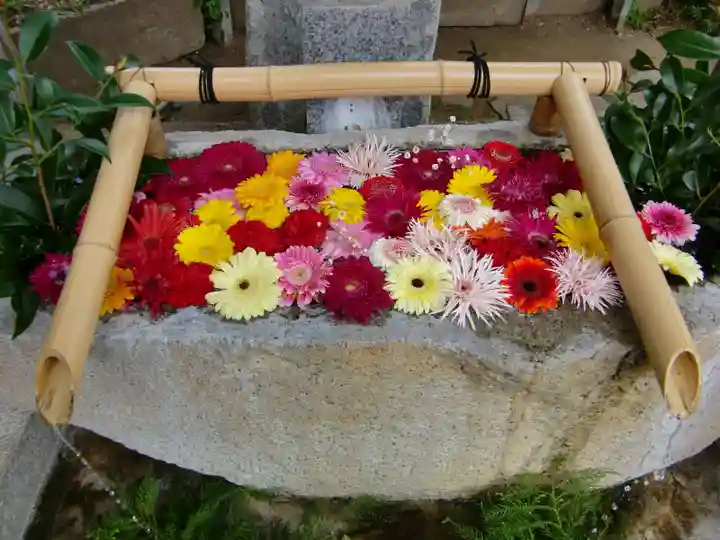 田間神社の手水舎