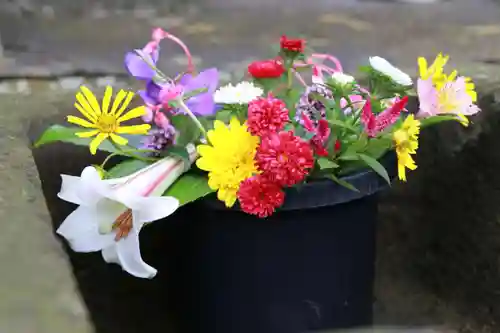 熊野福藏神社の手水