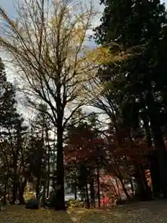 日枝神社(岐阜県)