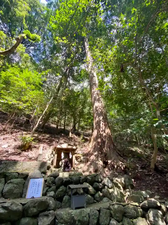 丹生川上神社(中社)(奈良県)