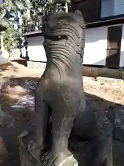 熊野神社の狛犬