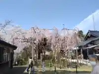 千手院(島根県)