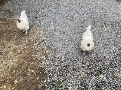 高屋敷稲荷神社(福島県)