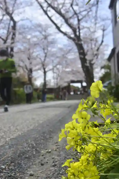 稱名寺(神奈川県)