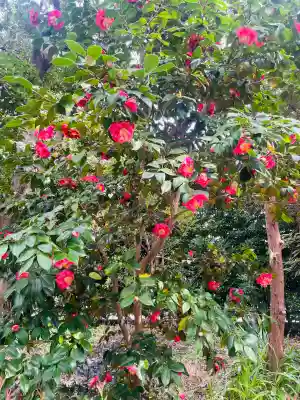 神明社(神奈川県)