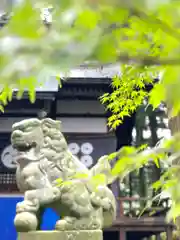 山家神社の狛犬