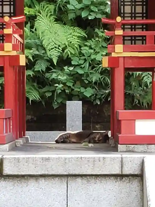 白金氷川神社(東京都)