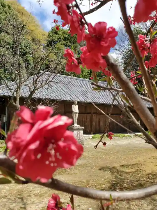 乃木神社の自然