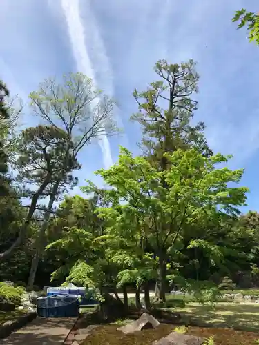 観泉寺の庭園