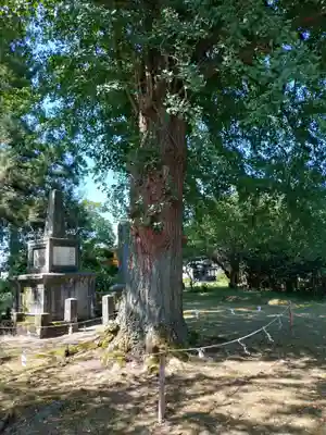 守りの神　藤基神社(新潟県)