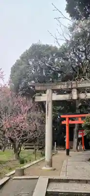 道明寺天満宮(大阪府)