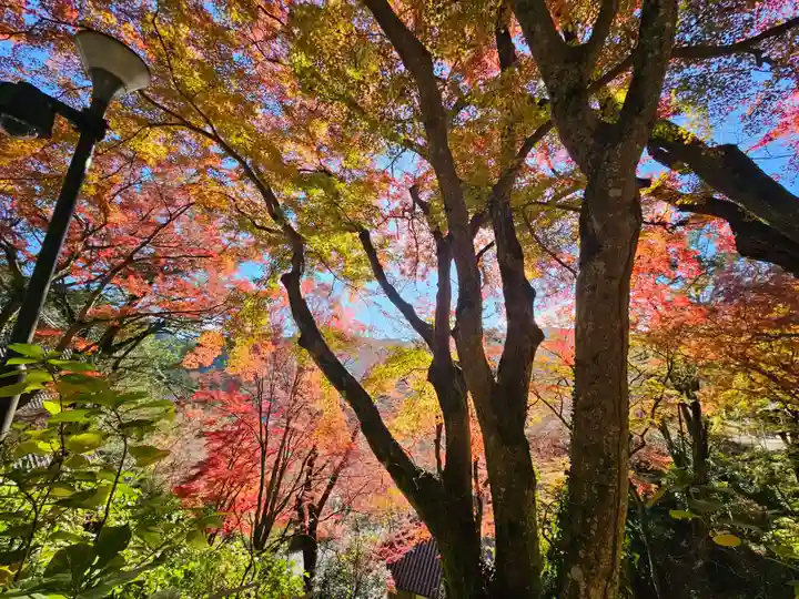 長谷寺(奈良県)