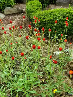 大鏑神社(福島県)