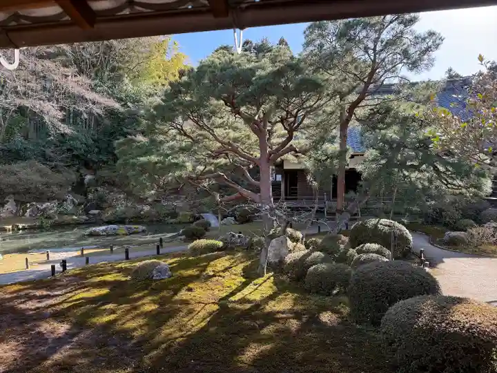 青蓮院門跡(京都府)