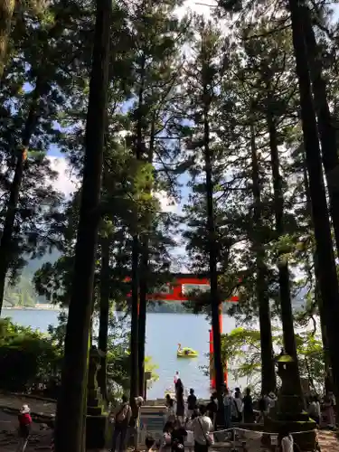 箱根神社(神奈川県)