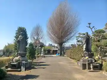 青蓮寺(埼玉県)