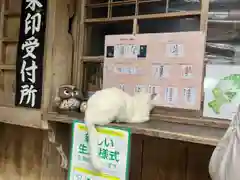 伊佐須美神社の動物