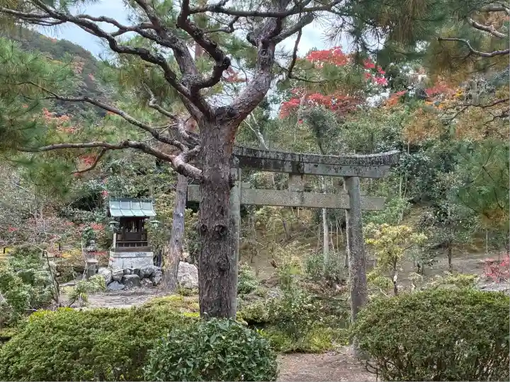 金地院(京都府)