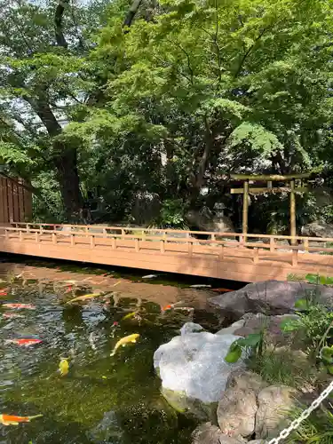 愛宕神社の庭園