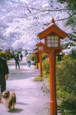 涼ケ岡八幡神社(福島県)