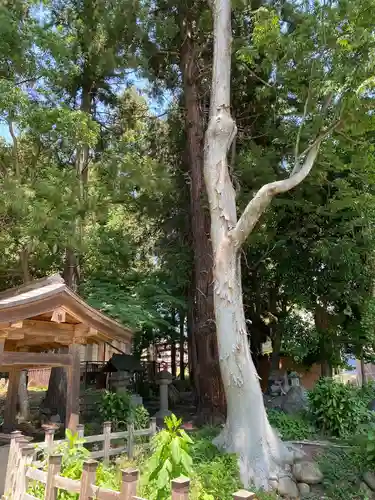 菅田天神社(山梨県)