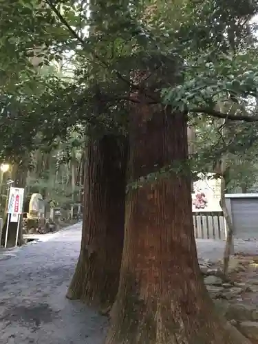 椿大神社(三重県)