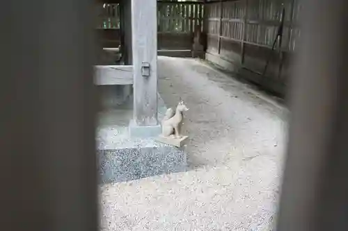 松江城山稲荷神社の狛犬