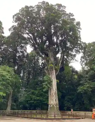霧島神宮(鹿児島県)