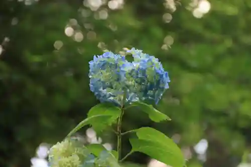 長屋神社の庭園