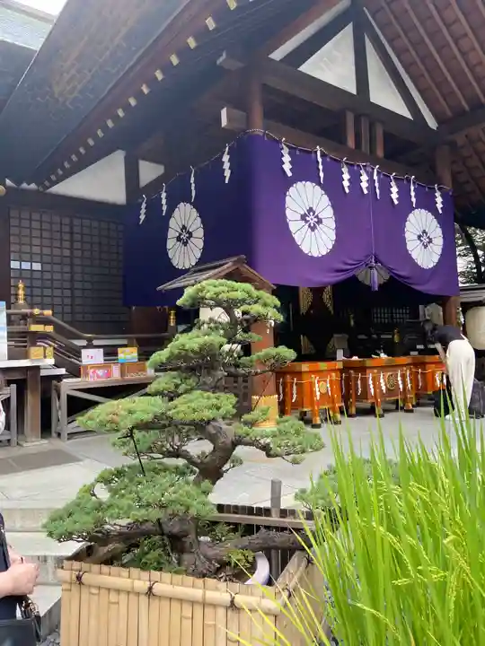 東京大神宮の芸術