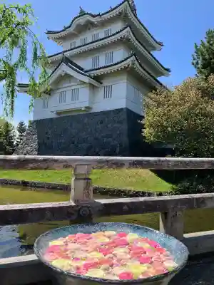 行田八幡神社の{uncategorized: "未分類", other: "その他", undefined: "問題あり", building: "その他建物", grave: "お墓", sacred_gate: "鳥居", guardian: "狛犬", statue: "像", buddha: "仏像", history: "歴史", nature: "自然", garden: "庭園", animal: "動物", pagoda: "塔", temizu: "手水舎", mountain_gate: "山門・神門", sanctuary: "本殿・本堂", subordinate: "末社・摂社", art: "芸術", scenery: "景色", jizo: "地蔵", ema: "絵馬", goshuin: "御朱印", omikuji: "おみくじ", items: "授与品その他", amulet: "お守り", goshuincho: "御朱印帳", eats: "食事", festival: "お祭り", votive_dance: "神楽", shichigosan: "七五三参", wedding: "結婚式", experience: "体験その他", initially: "初詣", around: "周辺", anti_infection: "感染症対策"}