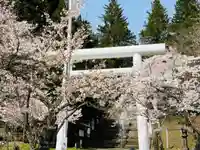 土津神社|こどもと出世の神さまの鳥居