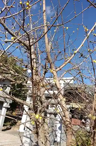 比佐豆知神社(三重県)
