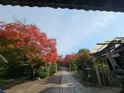 養源院(京都府)