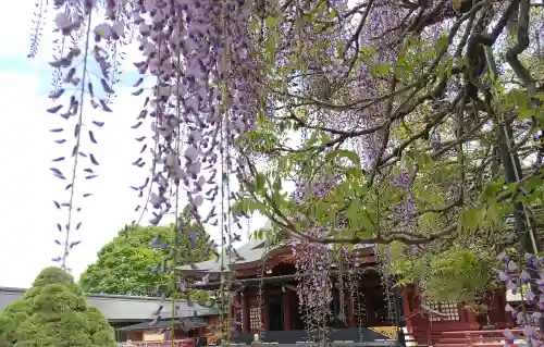 笠間稲荷神社(茨城県)