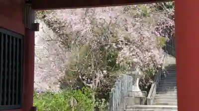 楽法寺（雨引観音）(茨城県)