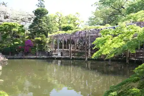 越ヶ谷久伊豆神社(埼玉県)
