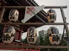 浅草寺のお祭り