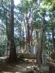 山中八幡宮の自然