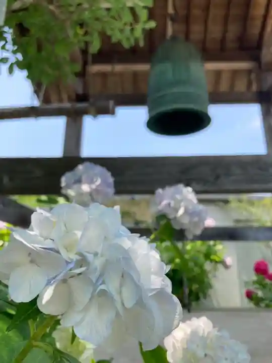 円照寺のその他建物