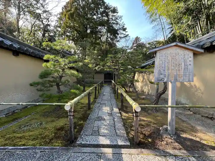 高桐院(京都府)