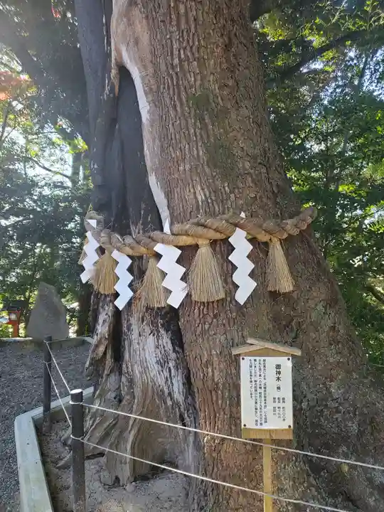 常陸國總社宮の自然