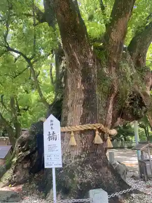 大麻比古神社(徳島県)
